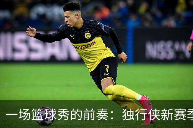 一场篮球秀的前奏：独行侠新赛季阵容大揭秘！